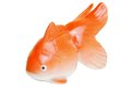 [Made in Japan] Hime kinsyo goldfish (Red) Ornament doll