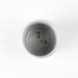 Photo3: Sake Cup Akae sakura chirashi Cherry blossoms (6cm/2.3in) (3)